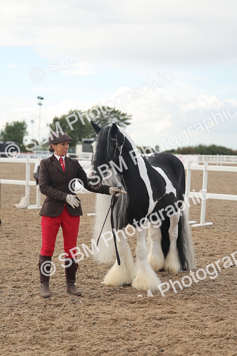 SBM_08561 - Class 29 - IH Veteran Pony