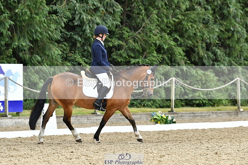 260801A-125628-04097 - Prelim Bronze Break - End