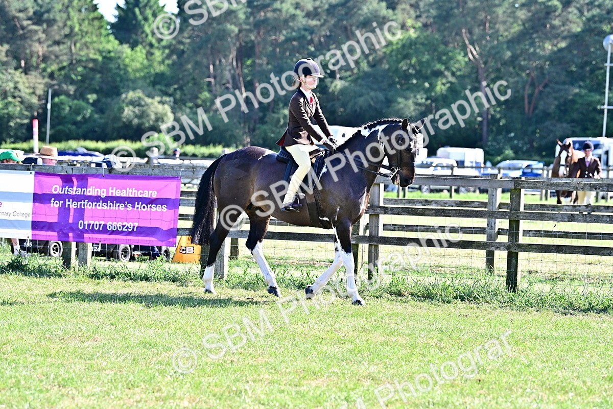 SBM_19524 - Class 101-102 - BSPS LIHS Performance Coloured Horse/Pony