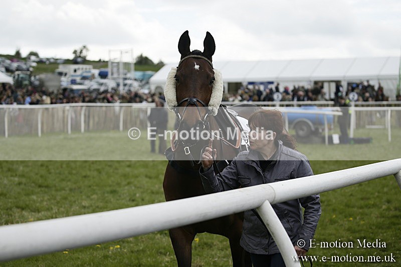 PtP 170417 123 - Old Berks Point-to-Point Lockinge 17/04/17