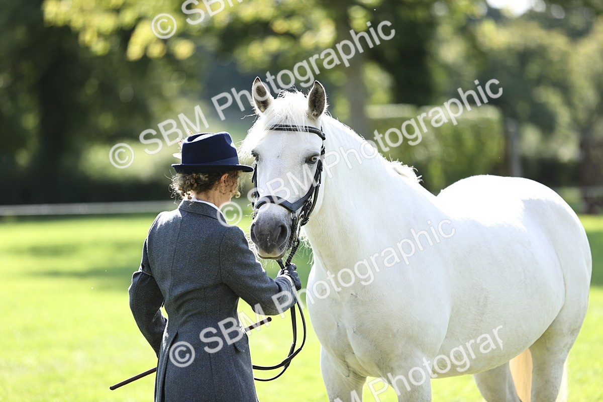 SBM_26228 - S5 - Novice & Newcomers In Hand