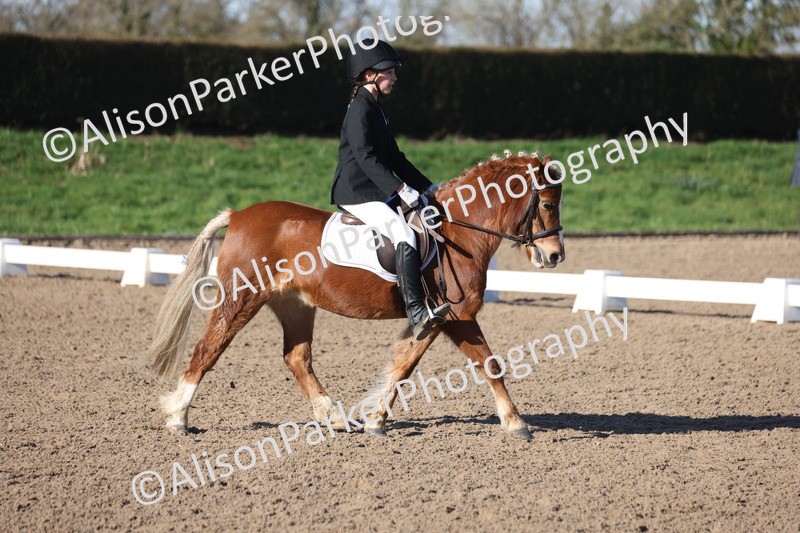 20260214-0275 - Class 3 - Prelim 2