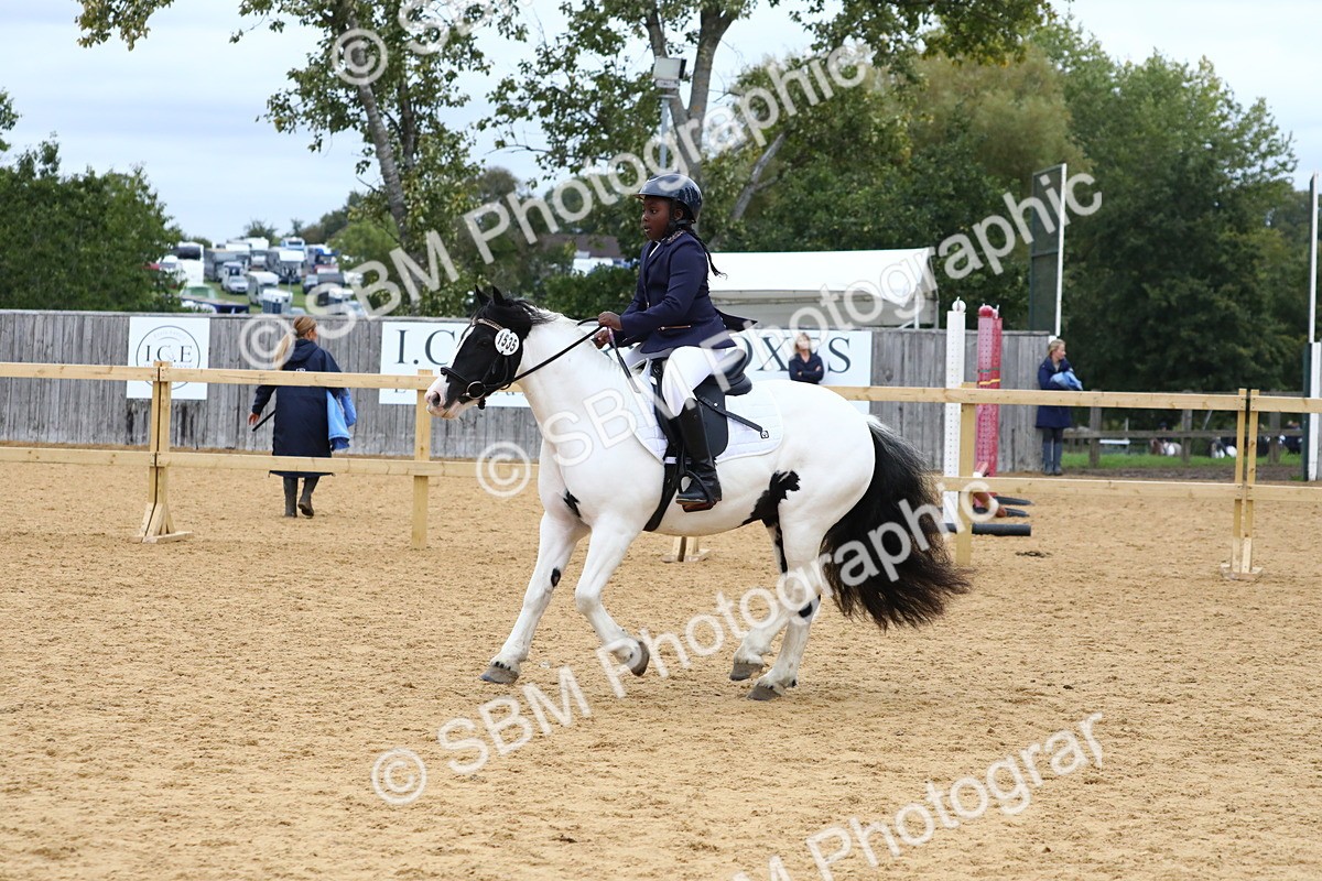 SBM_68264 - J3b - Mini Tour Junior Pony 40cm Championship