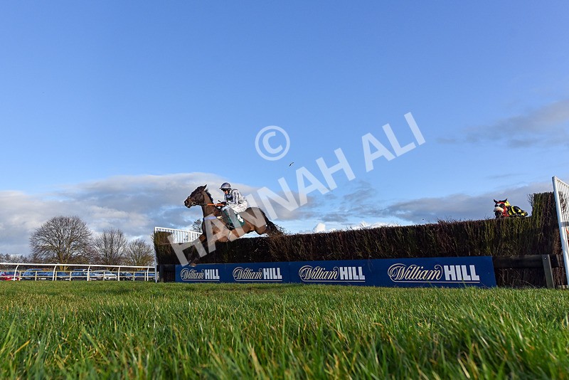 250225-Race 4-Master Breffni-0733 - Race 4