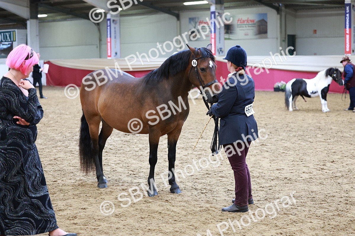 SBM_17345 - Class 951 - M&M IH Supreme Final