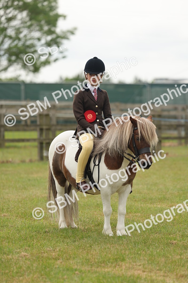 SBM_09146 - Class 78-80 - Ridden M&M Non Welsh Ponies