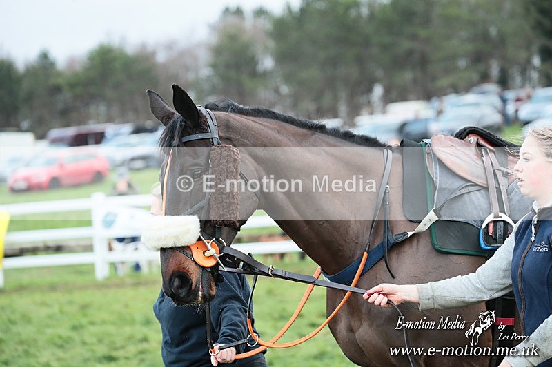 PtP 141225  2433 - New Forest Hounds PtP Larkhill 14/12/25