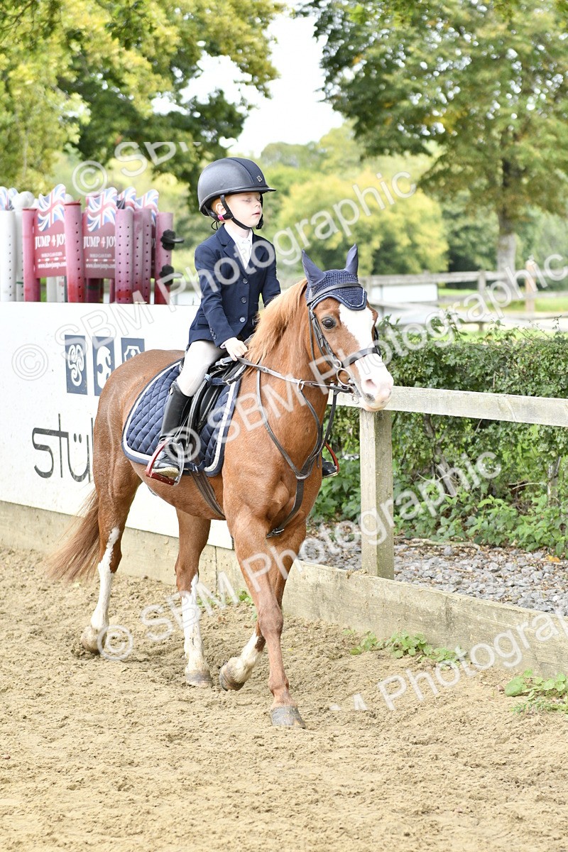 SBM_65452 - J2a mini Tour Junior Pony 30cm Championship