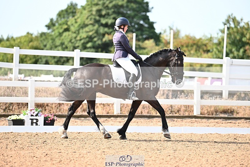 250815-094804-00203 - 027-Samantha.PringTongwynlais.Moon.Dancer