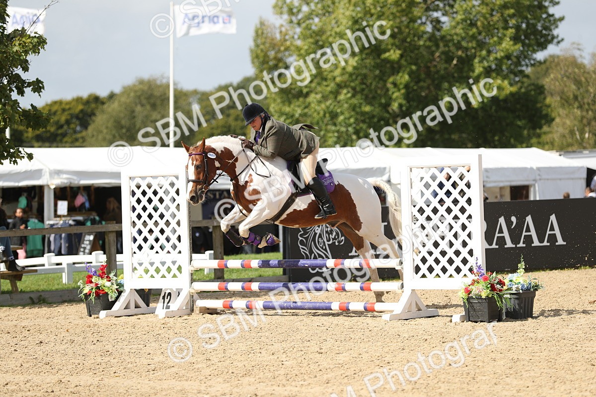 SBM_05764 - J35 - Veteran Rider 60cm