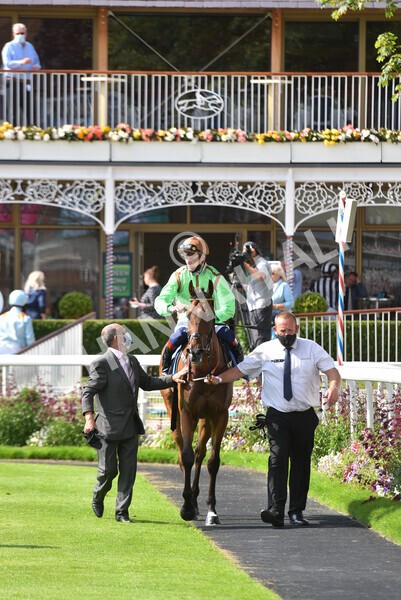 yr09072021r5-52 - Race 5: 4.20pm Garbutt + Elliott Stakes