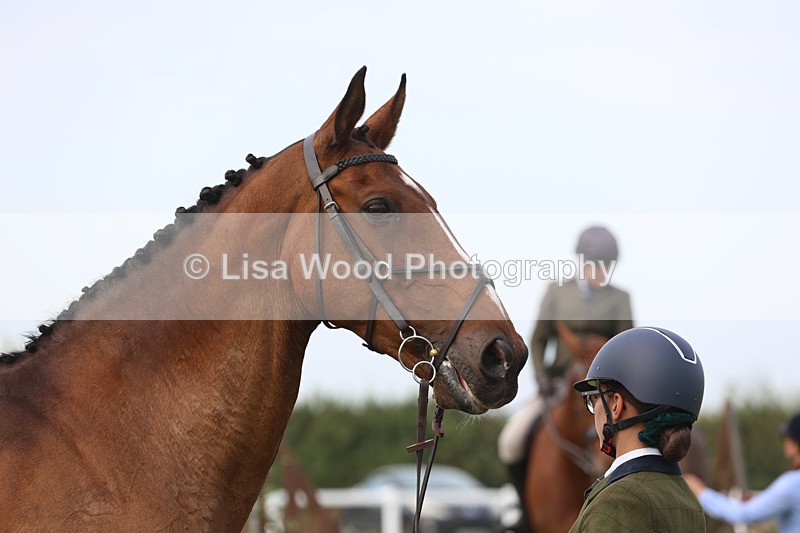 JPP_4543 - Class 26: Working Hunter 1m
