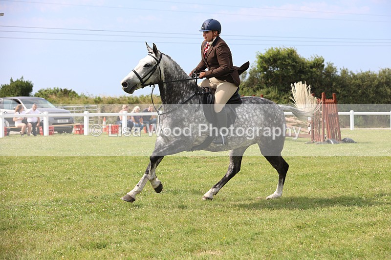 JPP_3994 - Class 24: Working Hunter 90cm