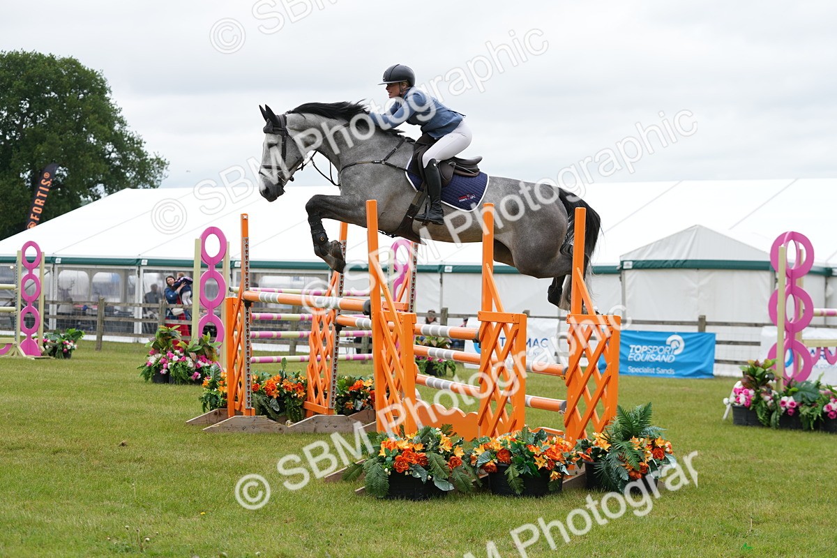 SBM_03179 - Class 201 - British Horse Feeds Speedi Beet Horse of the Year Show Grade  C