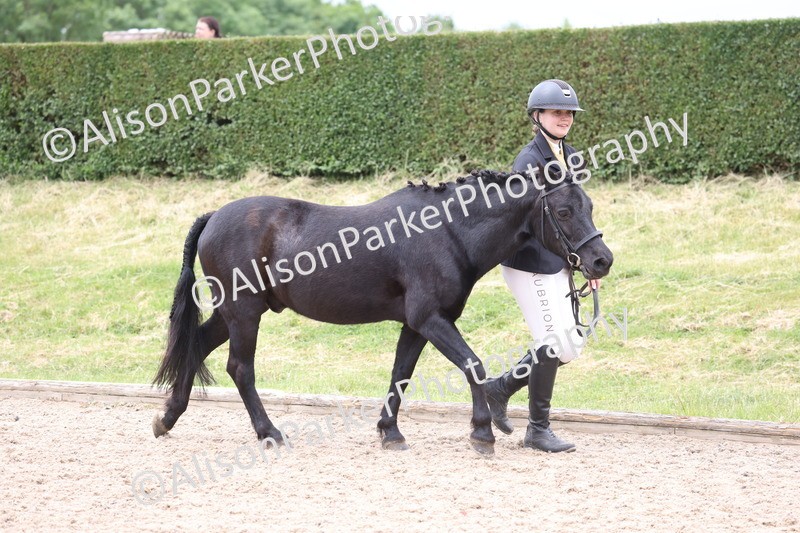 20250524-0605 - Class 7 - Veteran