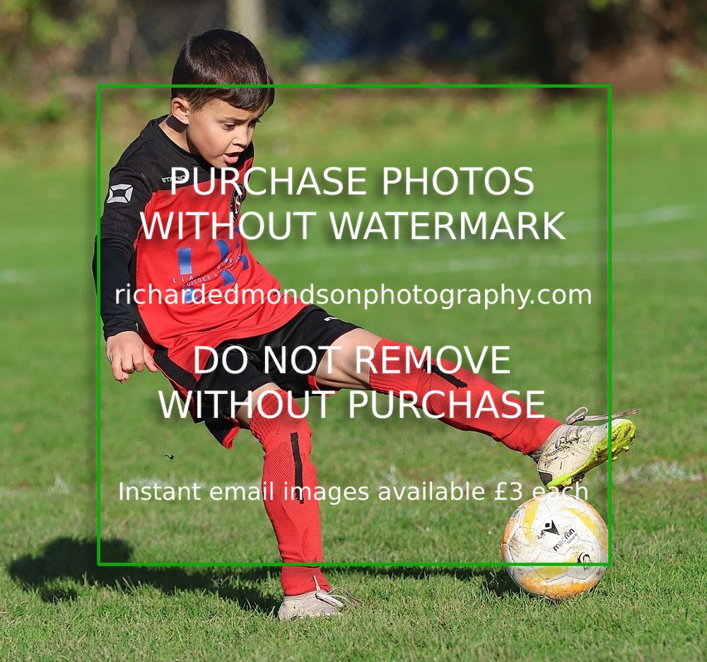 533A4563 - Sedbergh Wanderers Juniors Under 9's (17/10/26)