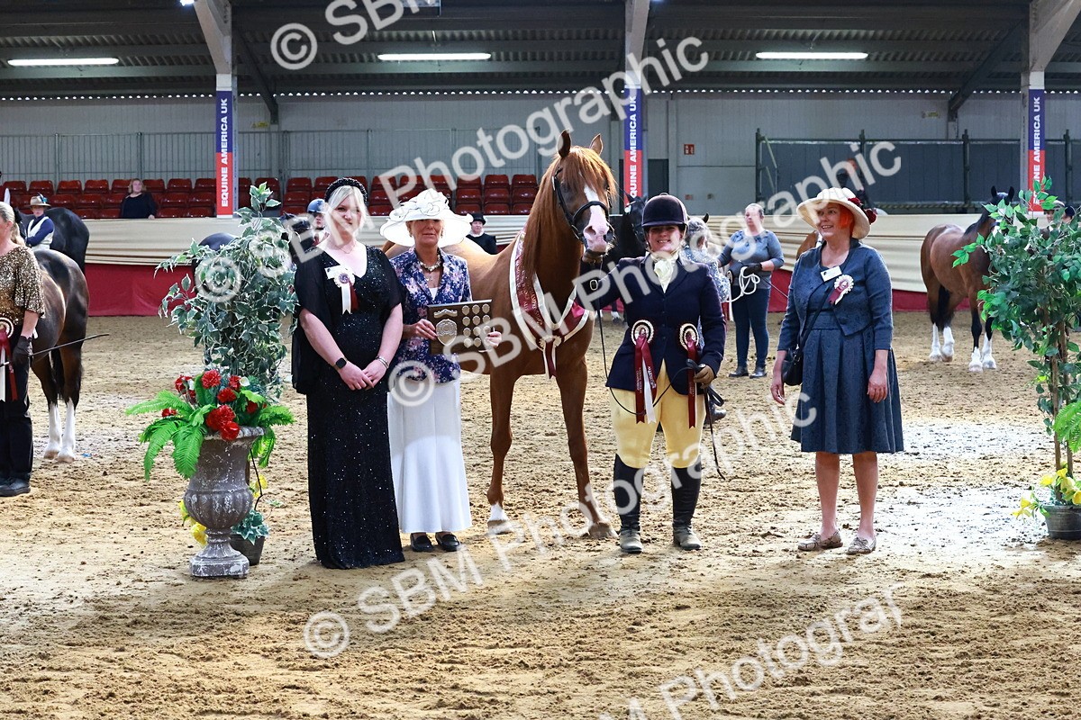 SBM_22425 - Class 902 - Supreme Final - IH Diamond