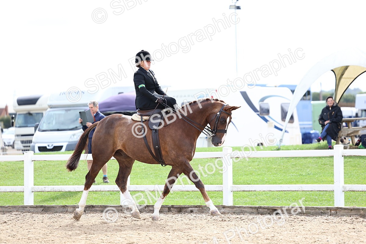 SBM_03296 - Class 23 - SSA Classical (any age)