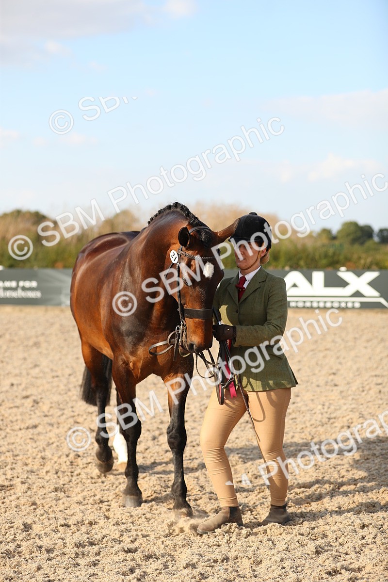 SBM_08676 - Class 28 - IH Veteran Horse