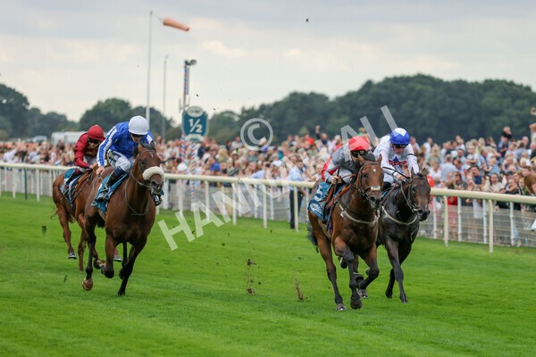 yr04092022r1-21 - Race 1 1.45pm IRE Incentive, It Pays To Buy Irish EBF Novice Stakes