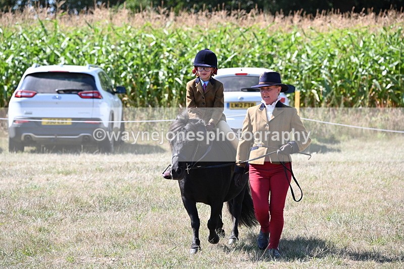 WJ6_8112 - Class 36 Lead Rein