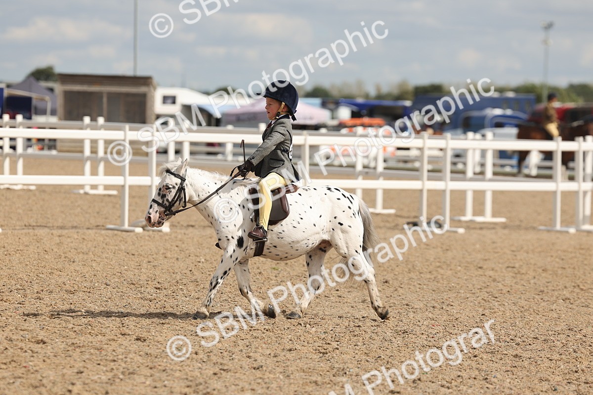 SBM_15881 - Class 310 - First Ridden Pony