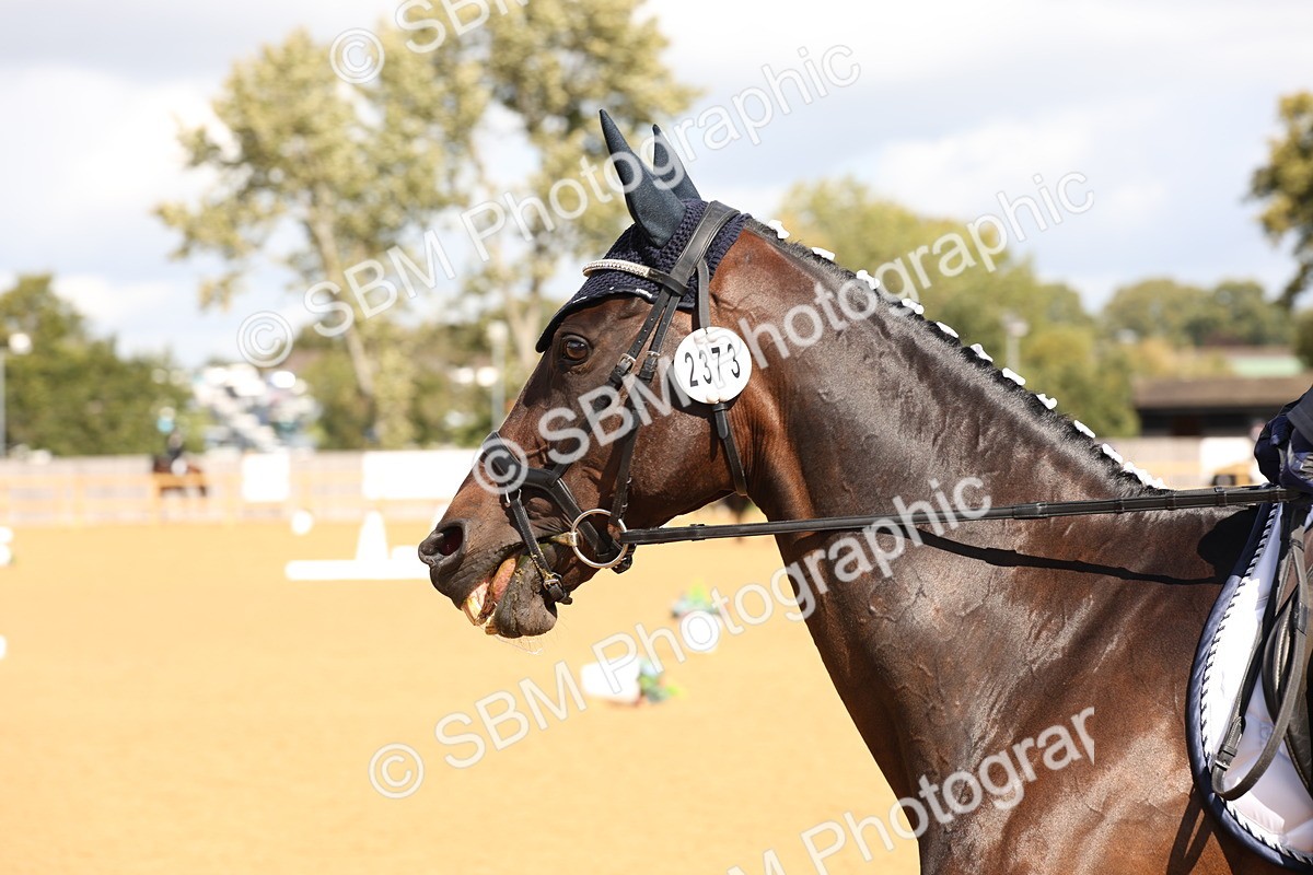 SBM_19490 - D10 - Small Tour Championship Prelim 2