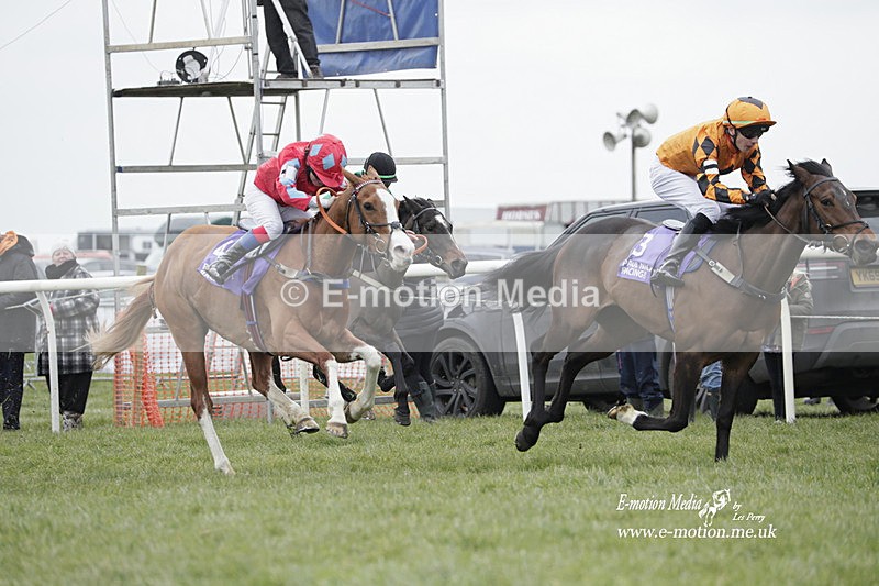 PtP 050323 166 - Blackmore & Sparkford Vale Hunt PtP - Somerset 05/03/23