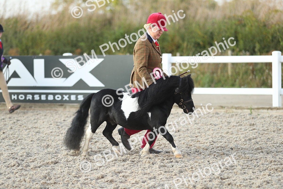 SBM_09127 - Class 29 IH Veteran Pony