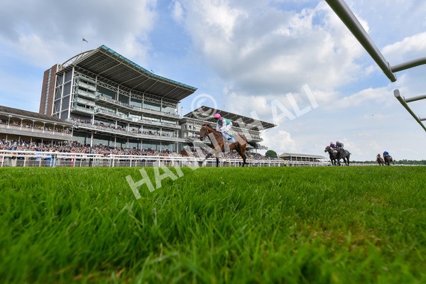 170524-Race 5-Lead Artist-6307 - Race 5 4.15pm  Darley EBF Novice Stakes