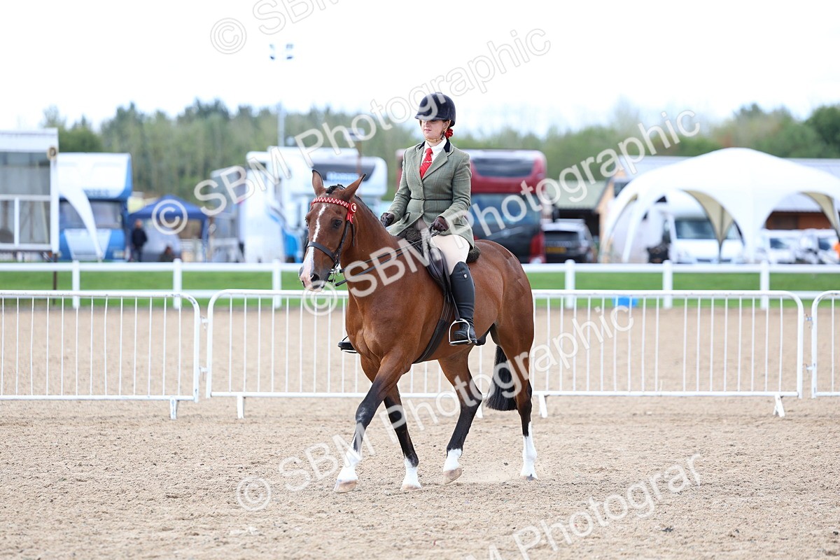 SBM_10095 - Class 304 - Ridden Part Bred Horse Pony