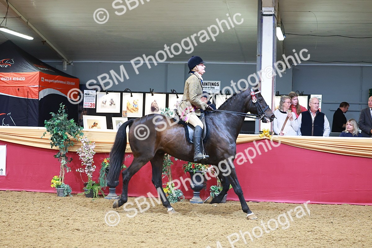 SBM_09890 - Class 102 - HOYS Veteran Qualifier - Ridden Veteran