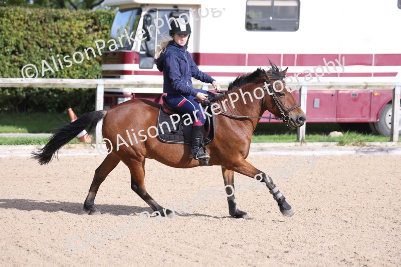 20251005-0352 - Class 3 - 60cm