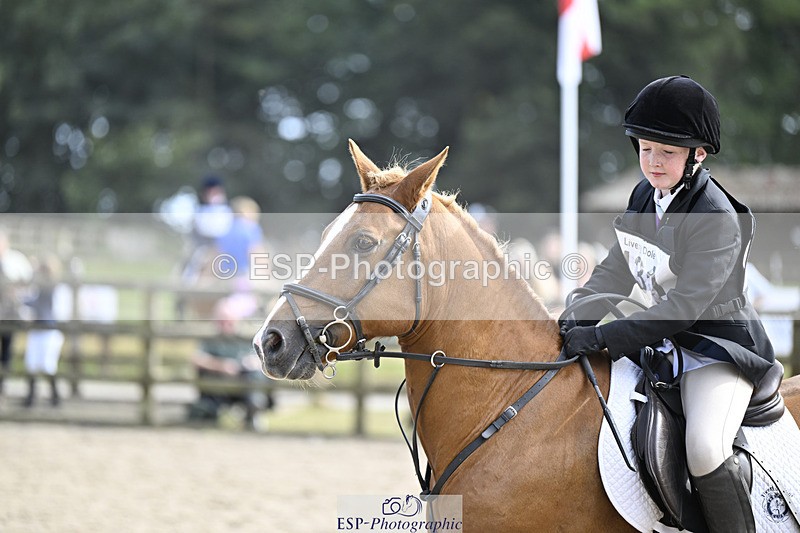 240823X-161125-19084 - 70cm R2 15.20 to 16.40