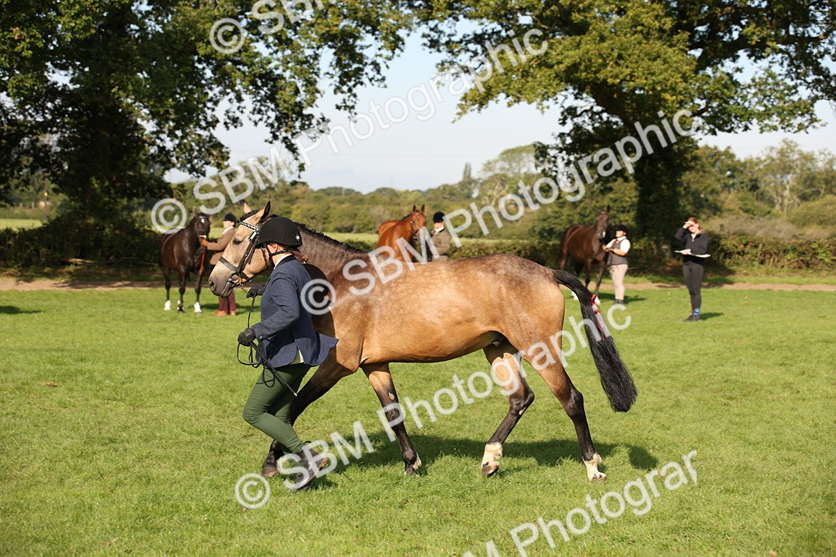 SBM_60125 - S53 - Hunter In Hand