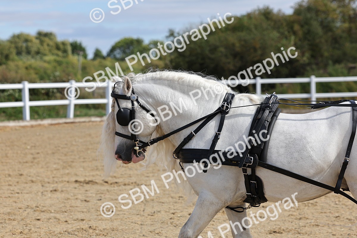 SBM_001238 - Class 16 - Pairs ,Multiples and Tandems
