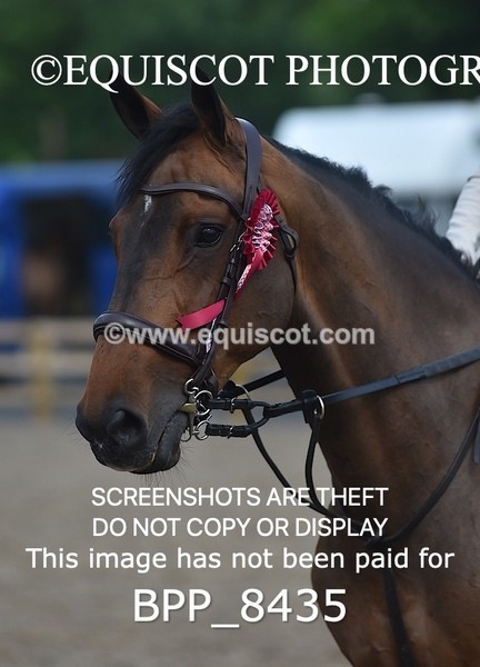 BPP_8435 - CLASS 1 British Novice / 0.80m Open
