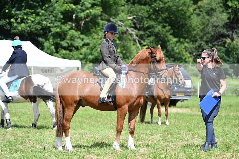 WJ7_1785 - Class 9 Pony Club Pony