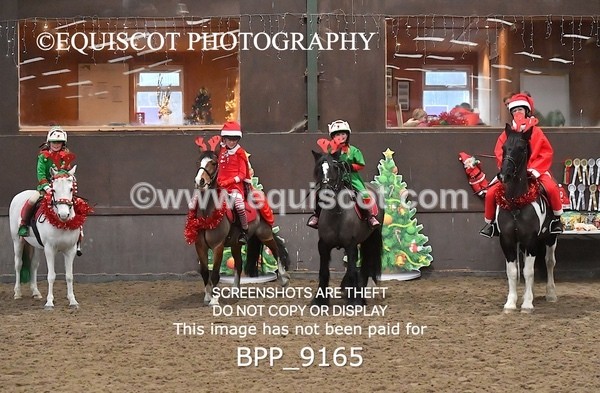 BPP_9165 - CLASS 3 50CM-70CM Pairs Show Jumping