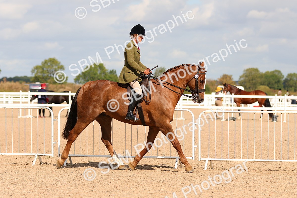 SBM_13187 - Class 211 - Ridden Hunter - Small