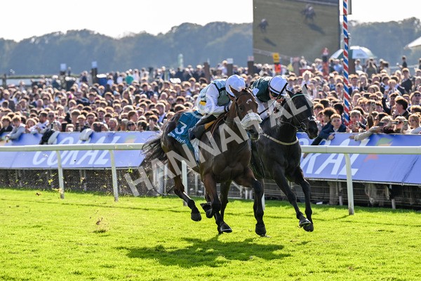 111025-Race 3-Laazm-0348 - Race 3 Coral 'Daily Reward Shaker' For Free Nursery Handicap at York