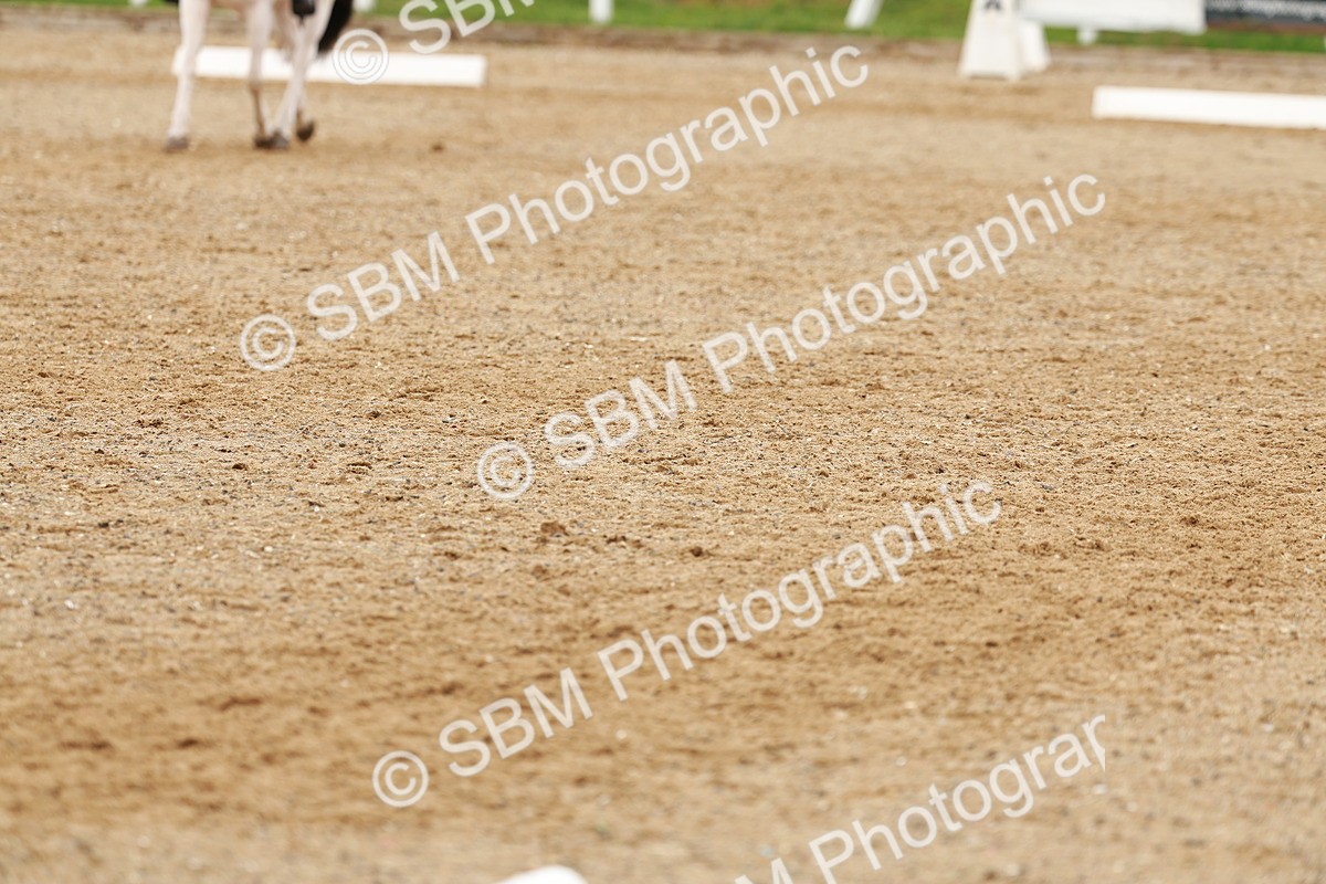 SBM_002727 - Class 6-7 - N2 N3