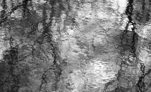  - Black and White
