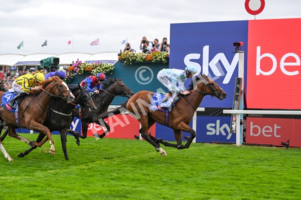 200825-Race 3-Pride Of Arras-1497 - Race 3 3.00pm Sky Bet Great Voltigeur Stakes