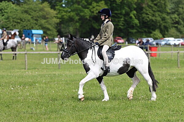 IMG_3355 - Working Hunter