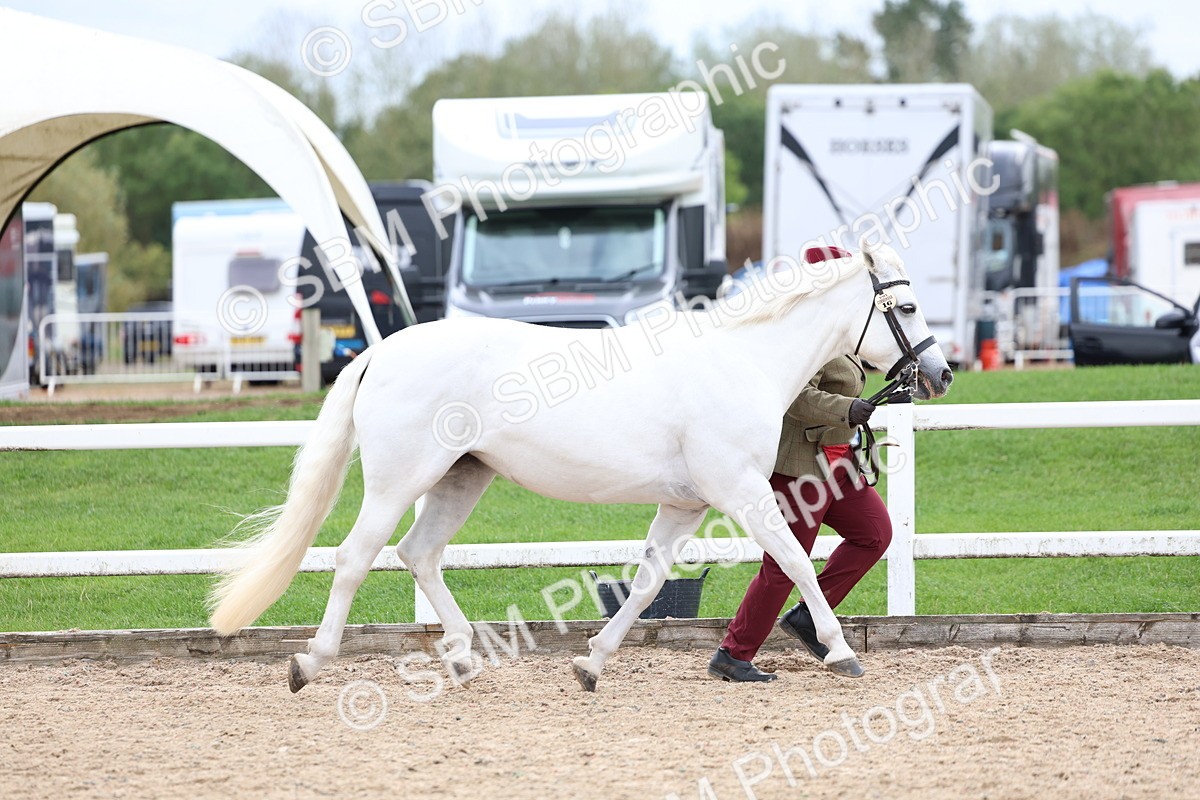 SBM_05845 - Class 29 - IH Veteran Pony