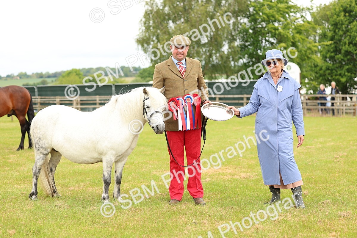 SBM_03591 - Class 58-67 - M&M Non Welsh Pony In hand