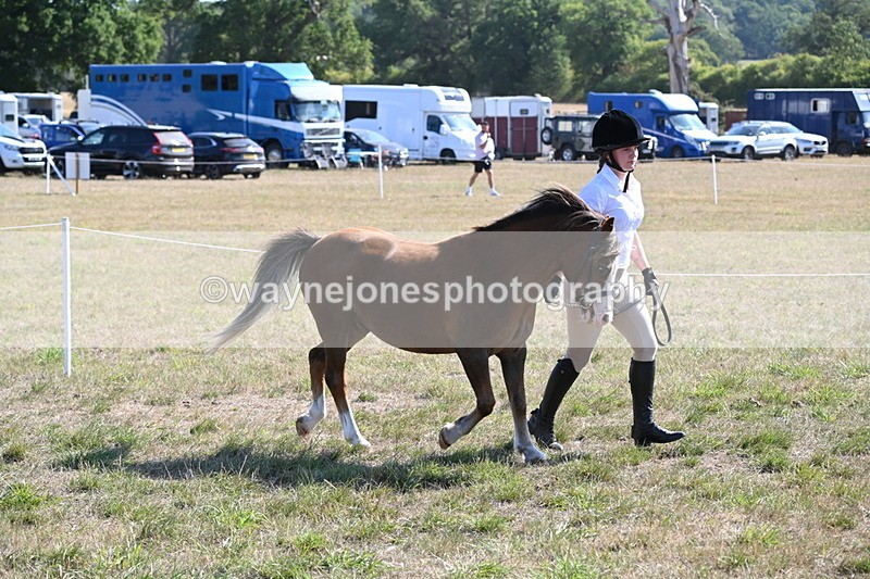WJ6_7500 - Class 34 Judges Choice