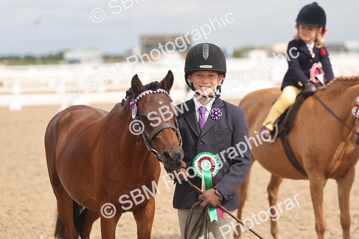 SBM_04588 - Class 19 - Horse/Pony Judge would most like to take home