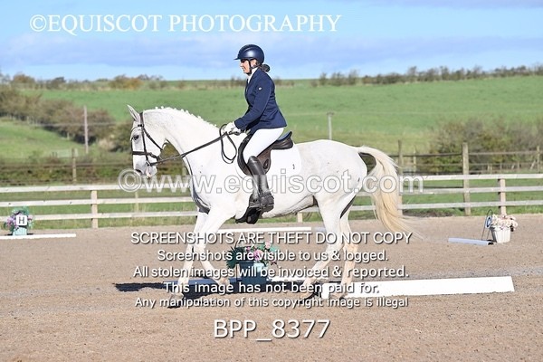 BPP_8377 - LONG ARENA